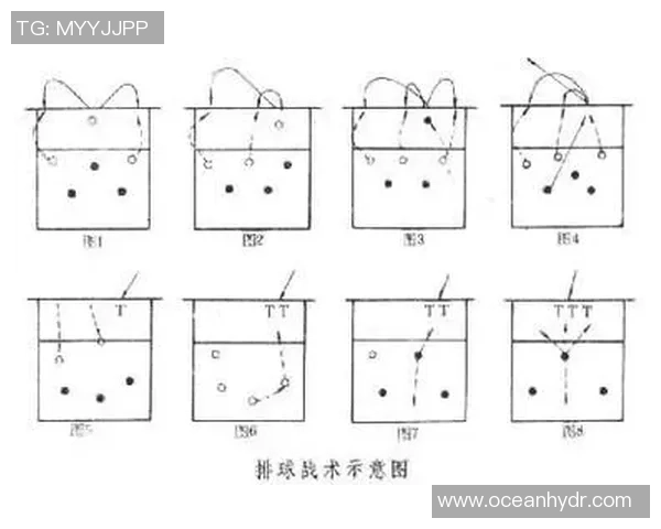 深圳排球队总决赛战术分析与表现评估全面解读 深圳排球队总决赛战术分析与表现评估全面解读