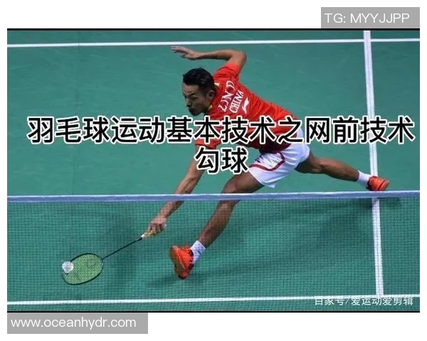 科学羽毛球训练方法探讨:提升运动状态与竞技水平的有效策略 科学羽毛球训练方法探讨:提升运动状态与竞技水平的有效策略