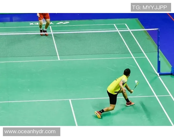 赛后分析:上海羽毛球队与深圳羽毛球队技术对抗的精彩瞬间与启示 赛后分析:上海羽毛球队与深圳羽毛球队技术对抗的精彩瞬间与启示