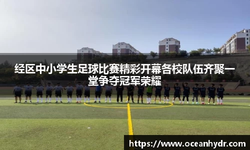 经区中小学生足球比赛精彩开幕各校队伍齐聚一堂争夺冠军荣耀