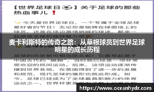 emc易倍体育