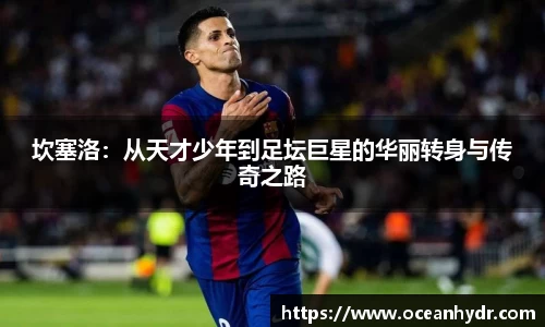emc易倍体育
