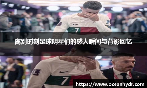 emc易倍体育官方网站